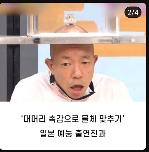 일본 유명한 대머리 덕에 유명해진 카리나 ㅋㅋ